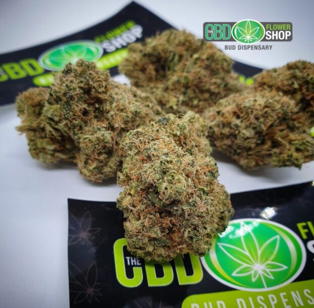 Blueberry Muffin CBD Herbal Hemp Tea - Image 4