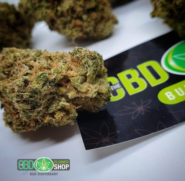 Blueberry Muffin CBD Herbal Hemp Tea - Image 5