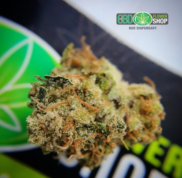 Blueberry Muffin CBD Herbal Hemp Tea - Image 6