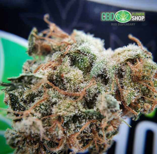 Blueberry Muffin CBD Herbal Hemp Tea - Image 7