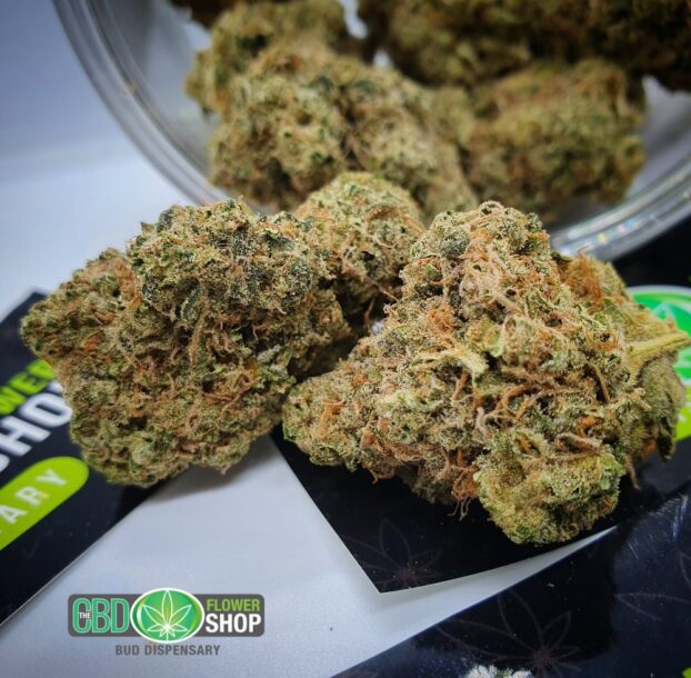 Blueberry muffin CBD flower buds