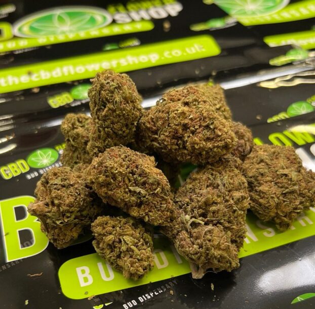 BZ1 Budget CBD herbal hemp tea - Image 5