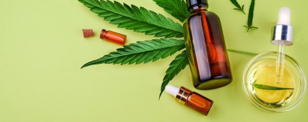 CBD oil bottles and pot of oil on green background