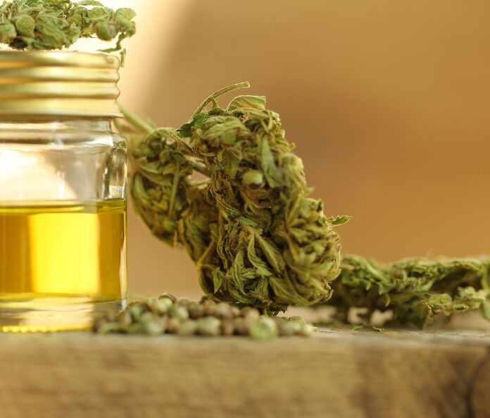 CBD flower and oil