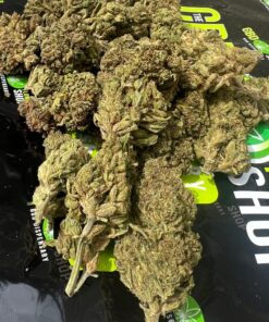 CBD Bud
