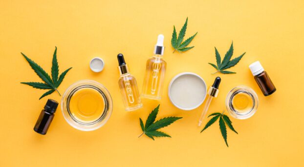Assorted CBD products flatlay image with CBD oil dropper bottles, pots and small hemp plant leaves