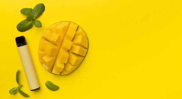 Premium disposable CBD vapes flatlay image with yellow vape pen and cut up mango fruit