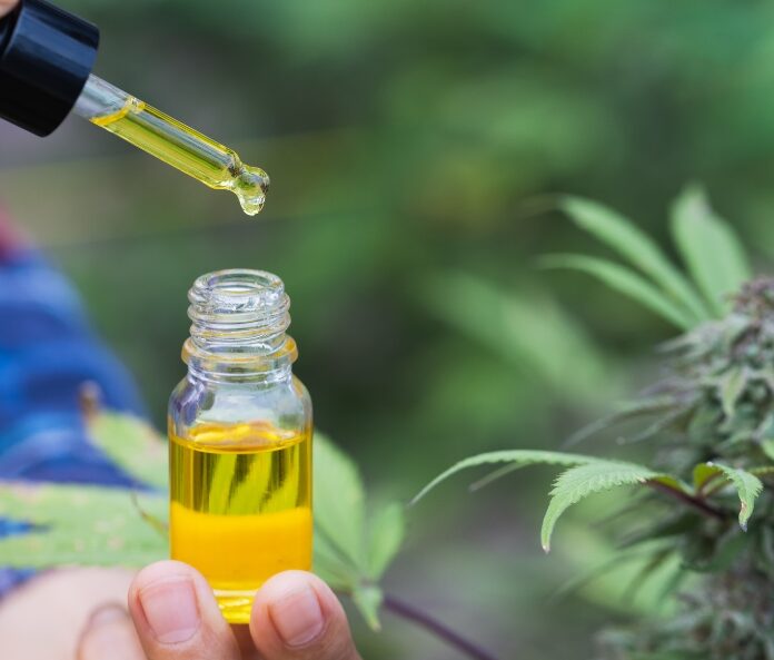 Hands holding oil bottle and dropper next to CBD plant