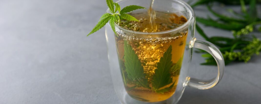 CBD tea brewing in a clear mug