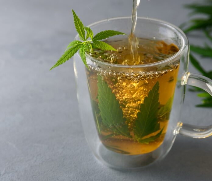 CBD tea brewing in a clear mug
