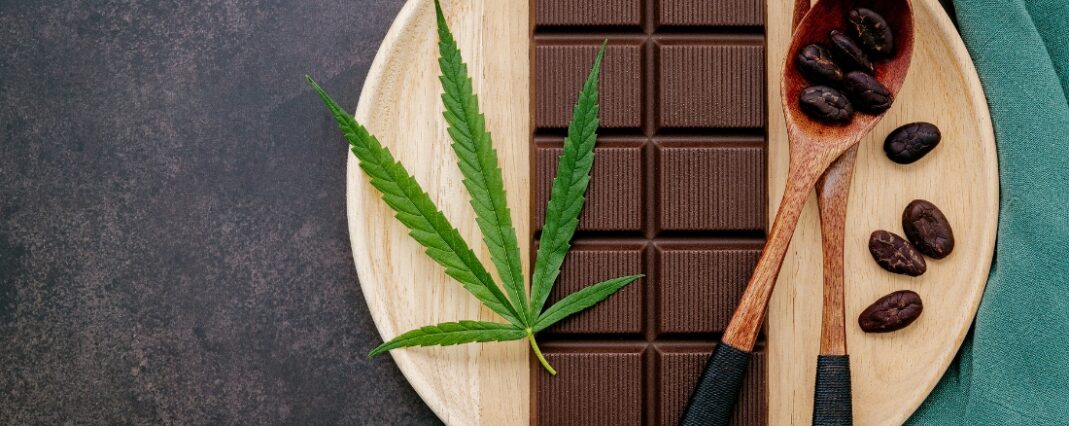 CBD chocolate bar
