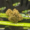 CBE Flowers