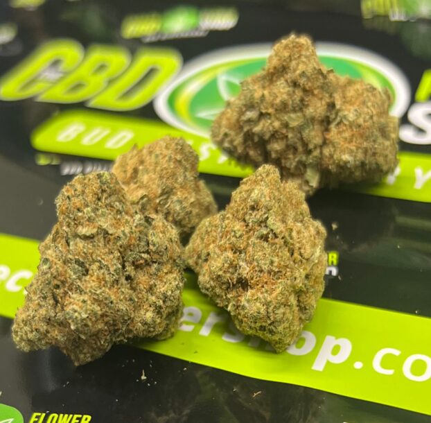 Zmoothie Strain CBD Flower: Aromatic Blend for Wellbeing - Image 3