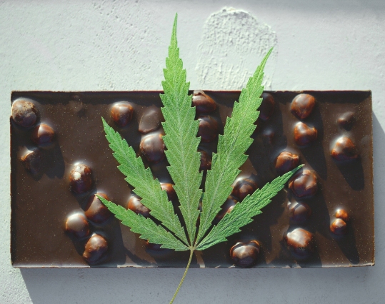 hemp plant leaf on top of a nut chocolate bar