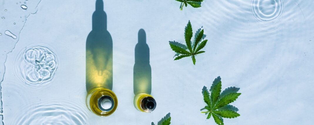 hemp leaves in water with bottles of CBD oil