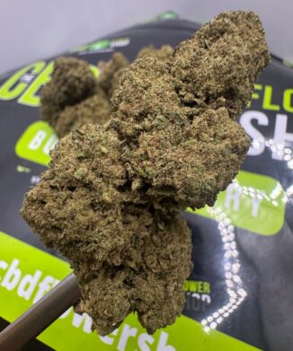 Power Plant CBD FLOWER