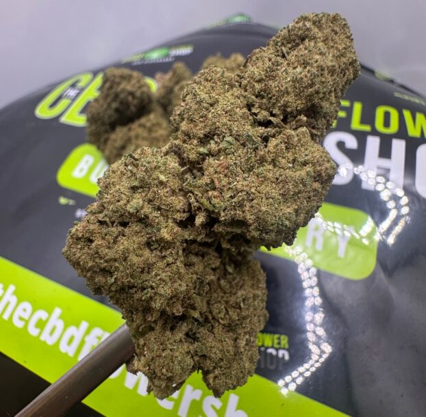 Power Plant CBD FLOWER