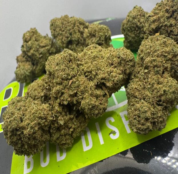 Power Plant CBD FLOWER