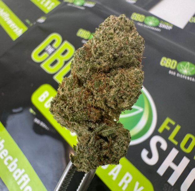 Exclusive Bubblegum Runtz CBD Tea Flower bud