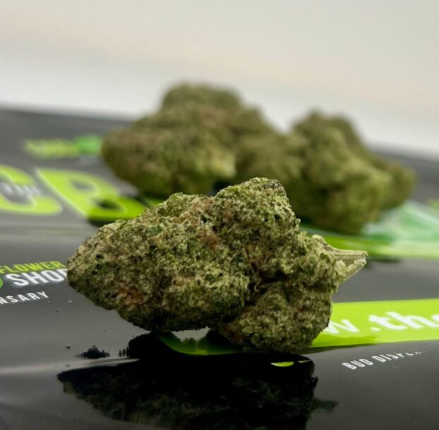 Bubblegum Runtz CBD Tea Flower - Image 3
