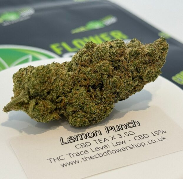 CBD BUDS