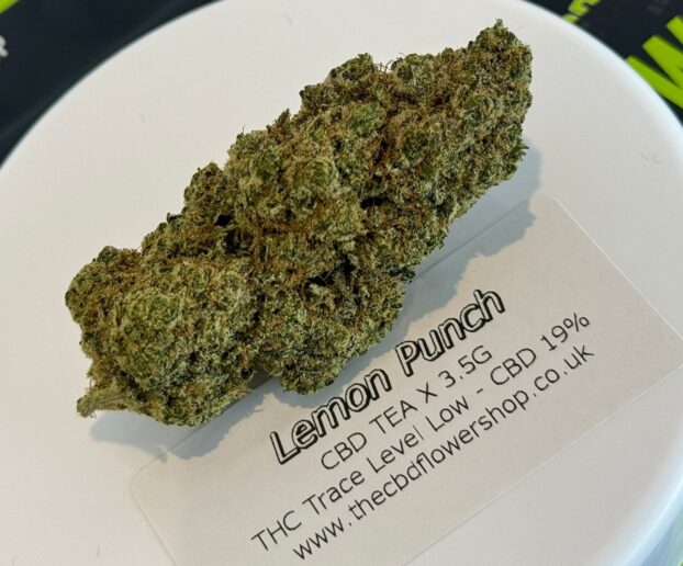 CBD BUDS