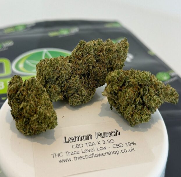Lemon Punch CBD Tea Flower buds