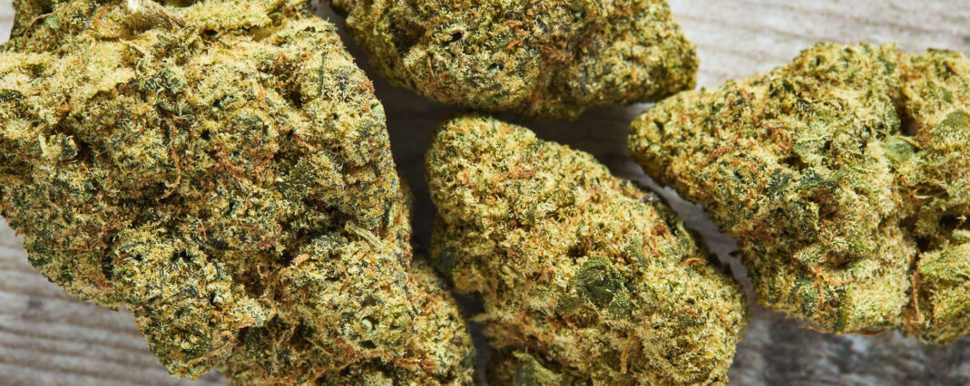 CBD flowers