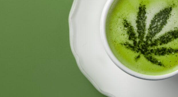 Green Hempl Leaf design over milk in a cup