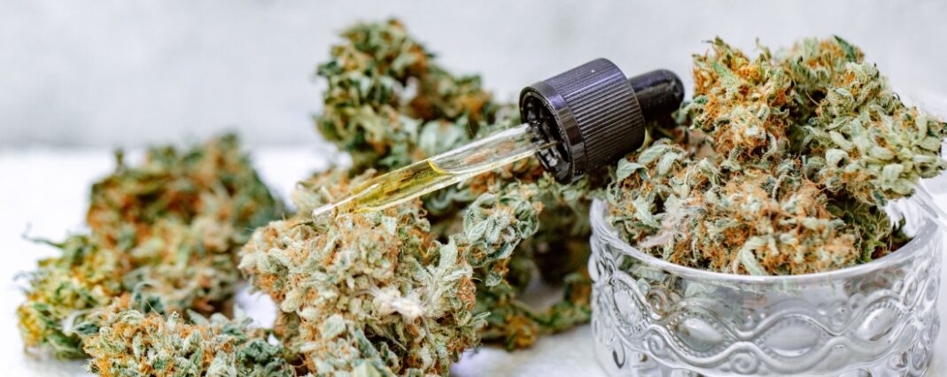 CBD oil dropper place on top of a pile of CBD flower buds