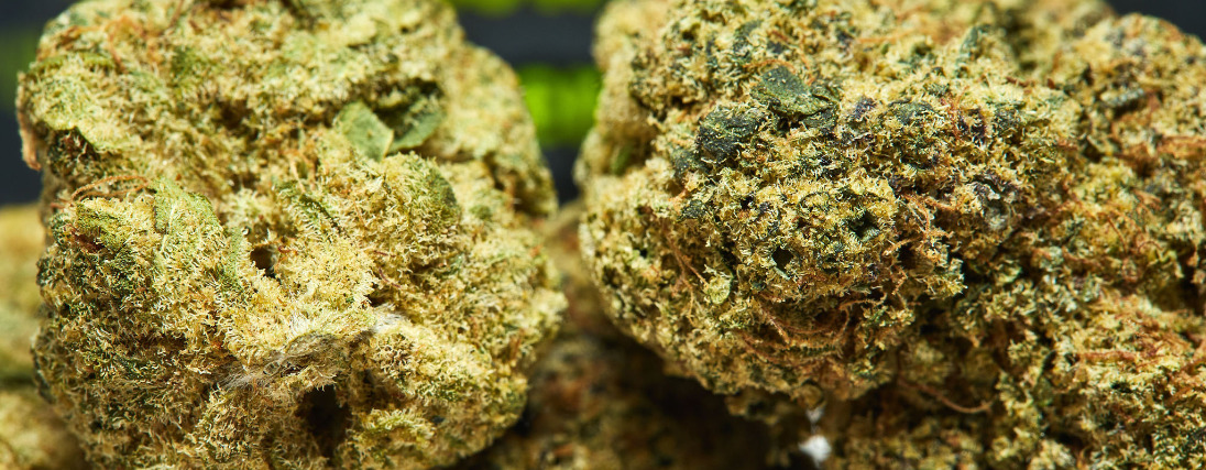 Pile of CBD flowers