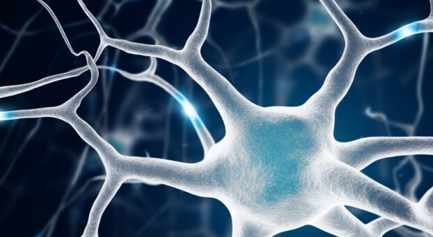 Illustration of brain receptors