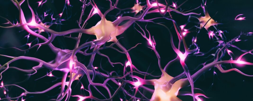 illustration representing endocannabinoid system