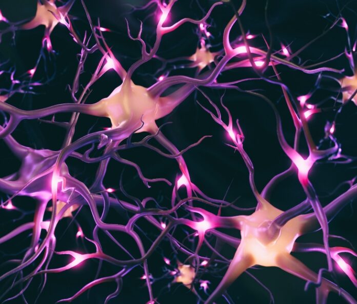 illustration representing endocannabinoid system