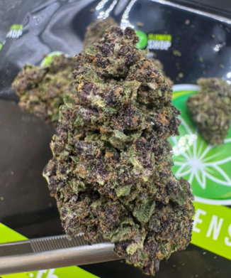 Purple Amnesia CBD Flower