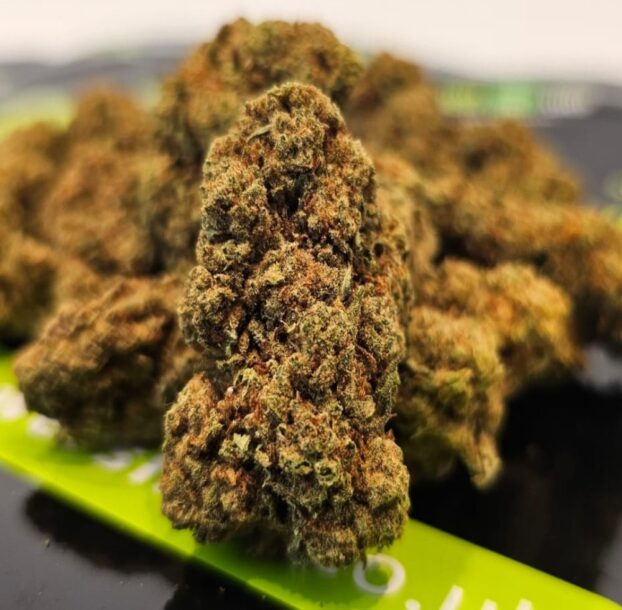 CBD Flowers