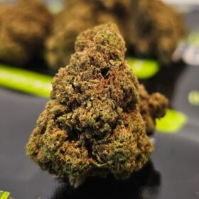 Gas Truffle – Whole Flower Hemp CBD Tea CBD flower bud