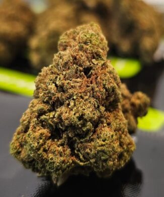 Gas Truffle – Whole Flower Hemp CBD Tea CBD flower bud