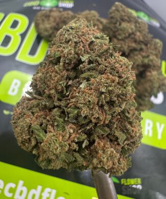 CREAM CARAMEL STRAIN CBD FLOWERS