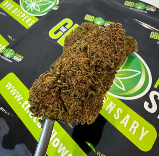 CBD BUDS