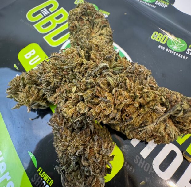 CBD BUDS