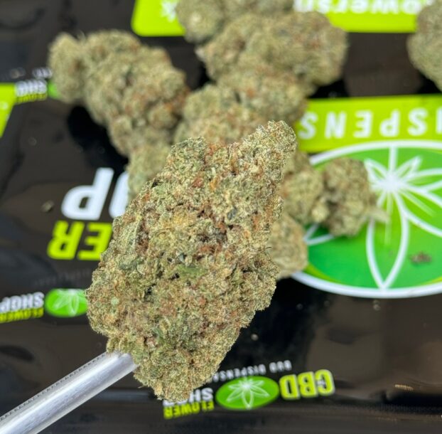 CBD BUDS