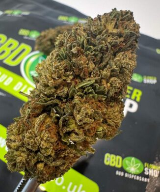 Lost Oak Farms - Bubba Kush 59