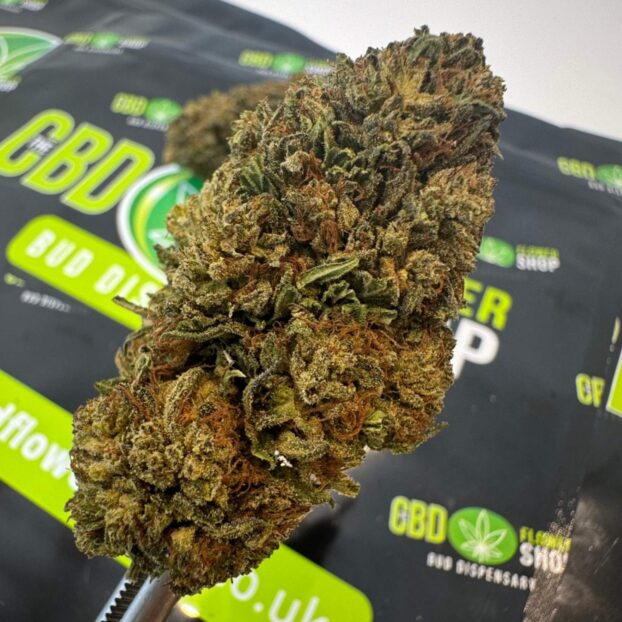 Lost Oak Farms - Bubba Kush 59