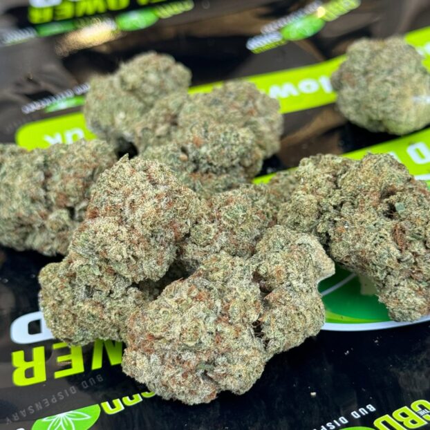 Divine Jelly Limited Edition CBD Herbal Hemp Tea