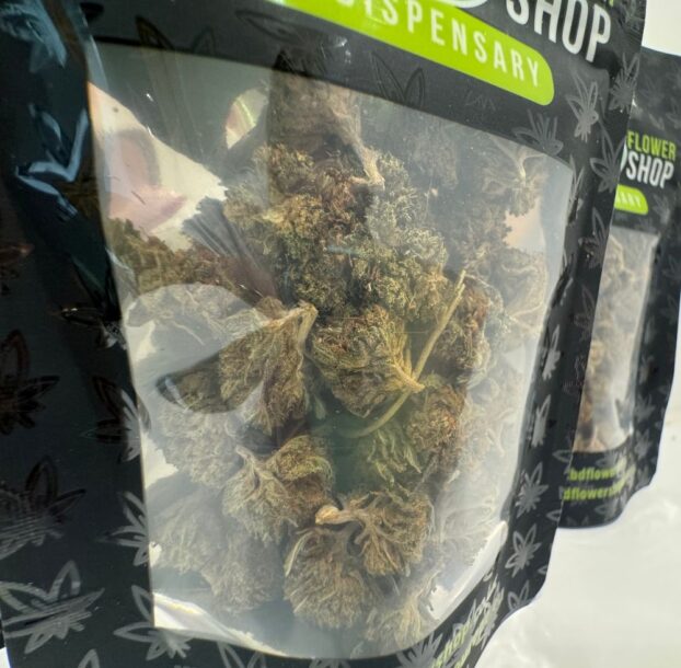 USA Outdoor - Popcorn Nuggies - Image 2
