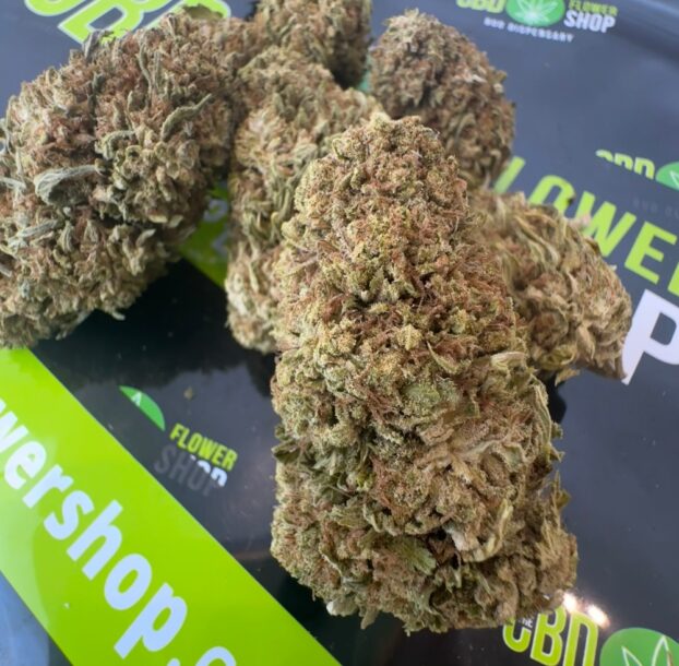USA Grown CBD Flower - White Whale - Image 3