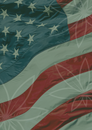 The CBD Flower Shop mobile-friendly banner with branding overlayed over the United States of America flag