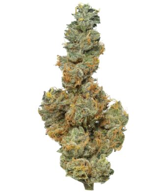 Flow Gardens – Apple Sauce CBD flower bud on white background