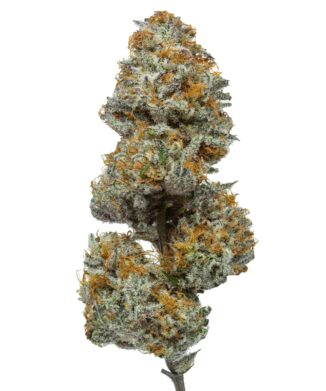 Flow Gardens Paradise OG: Premium USA Grown CBD Flower bud